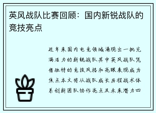 英风战队比赛回顾：国内新锐战队的竞技亮点